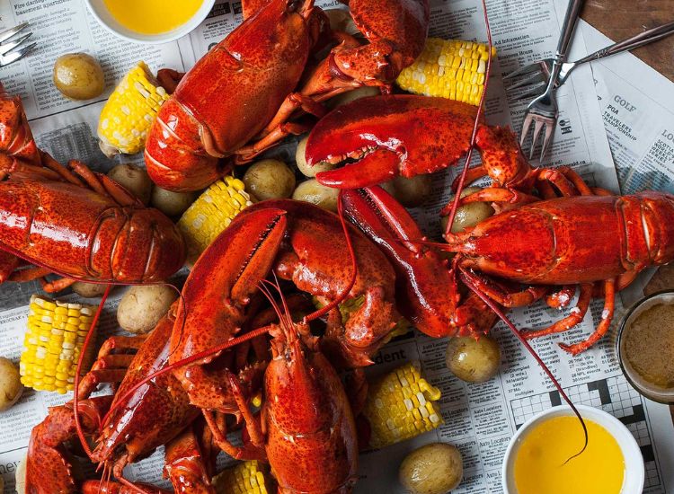 Top 7 des Traditions Culturelles et Culinaires Uniques au Canada